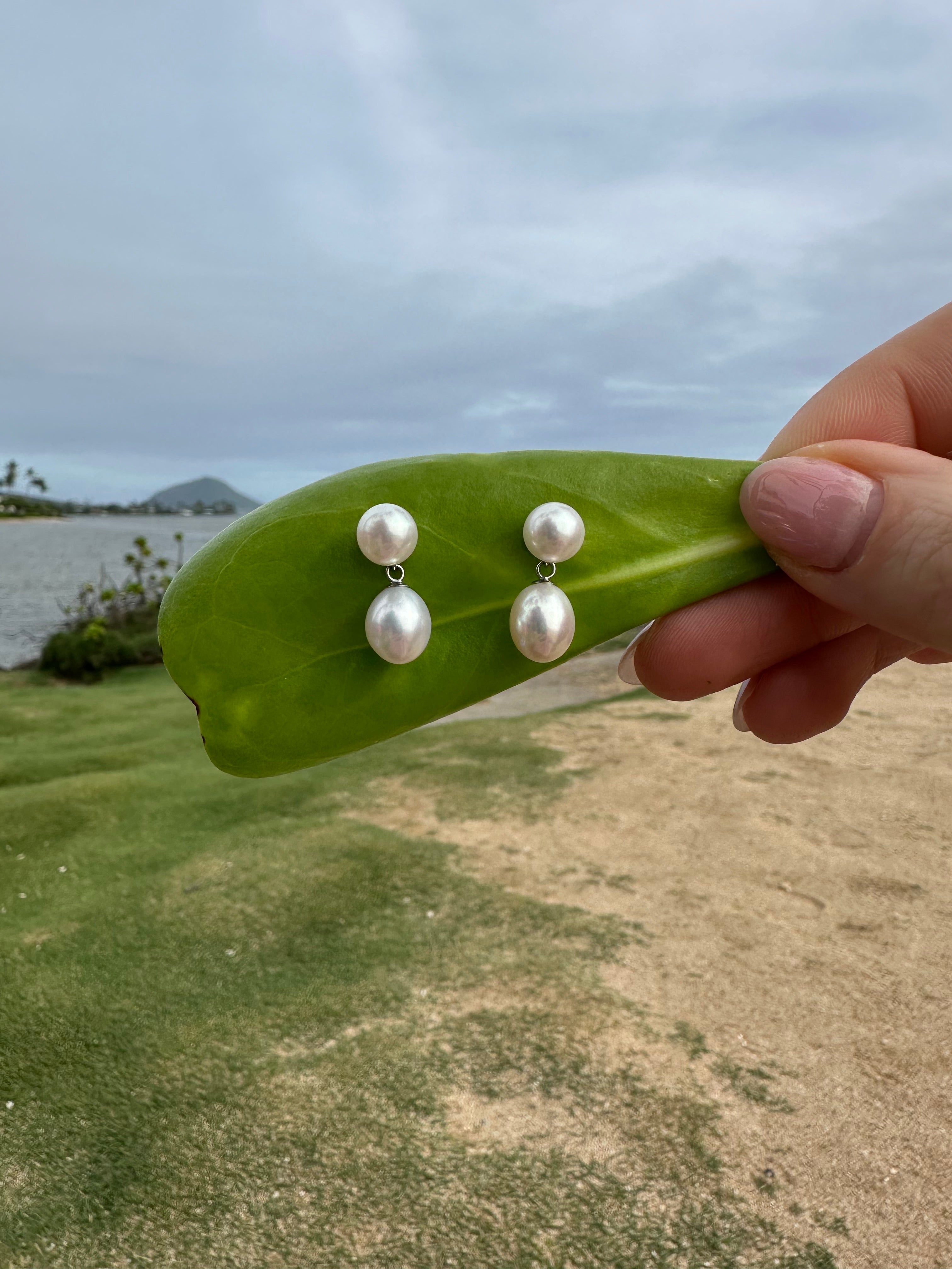 14K White Gold Lavish Freshwater Pearl Drop Earrings