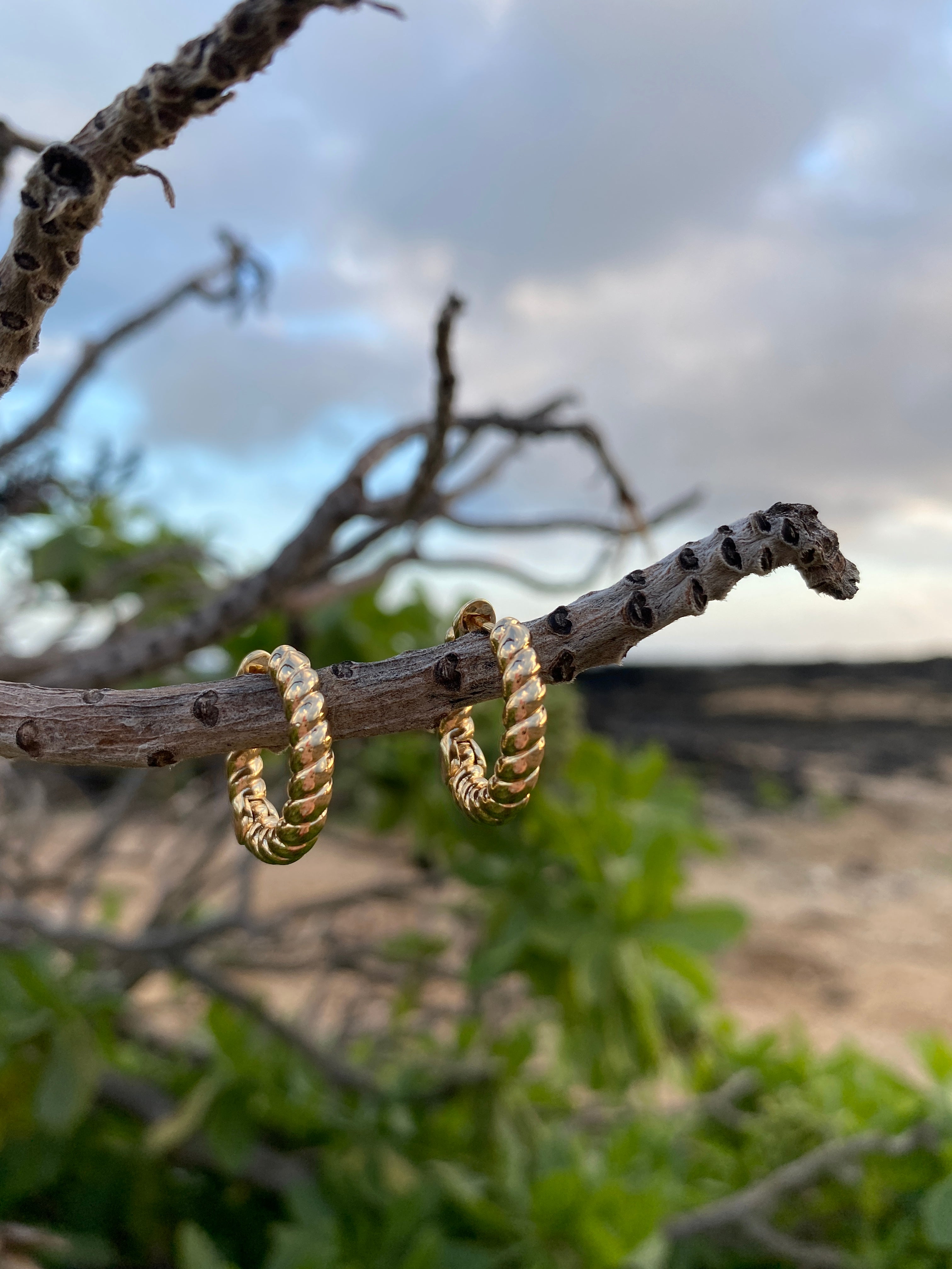 Twist 14kt Gold-Filled Hoops