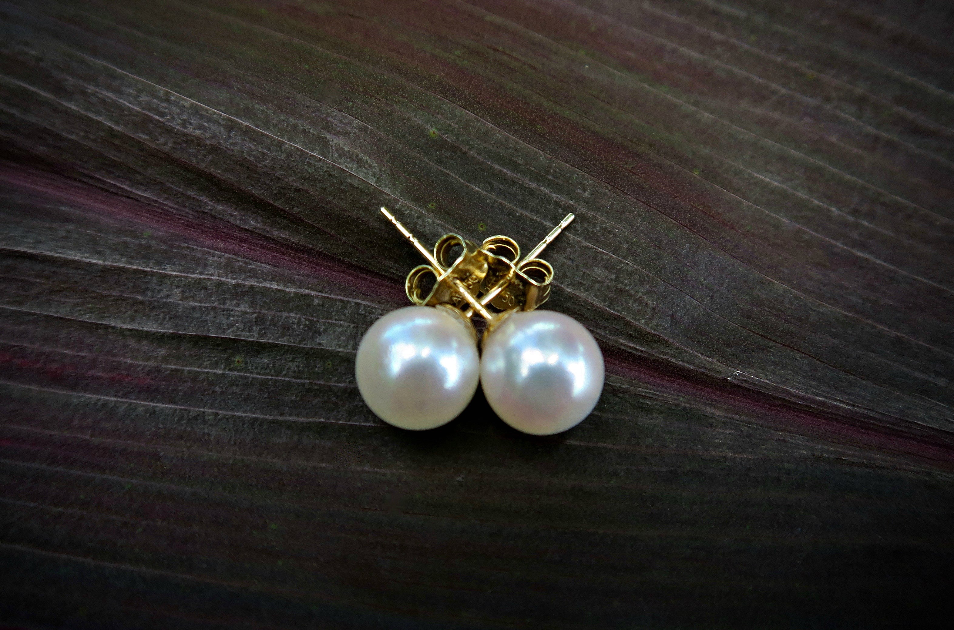 Akoya Celebration 18kt Gold Stud Earrings