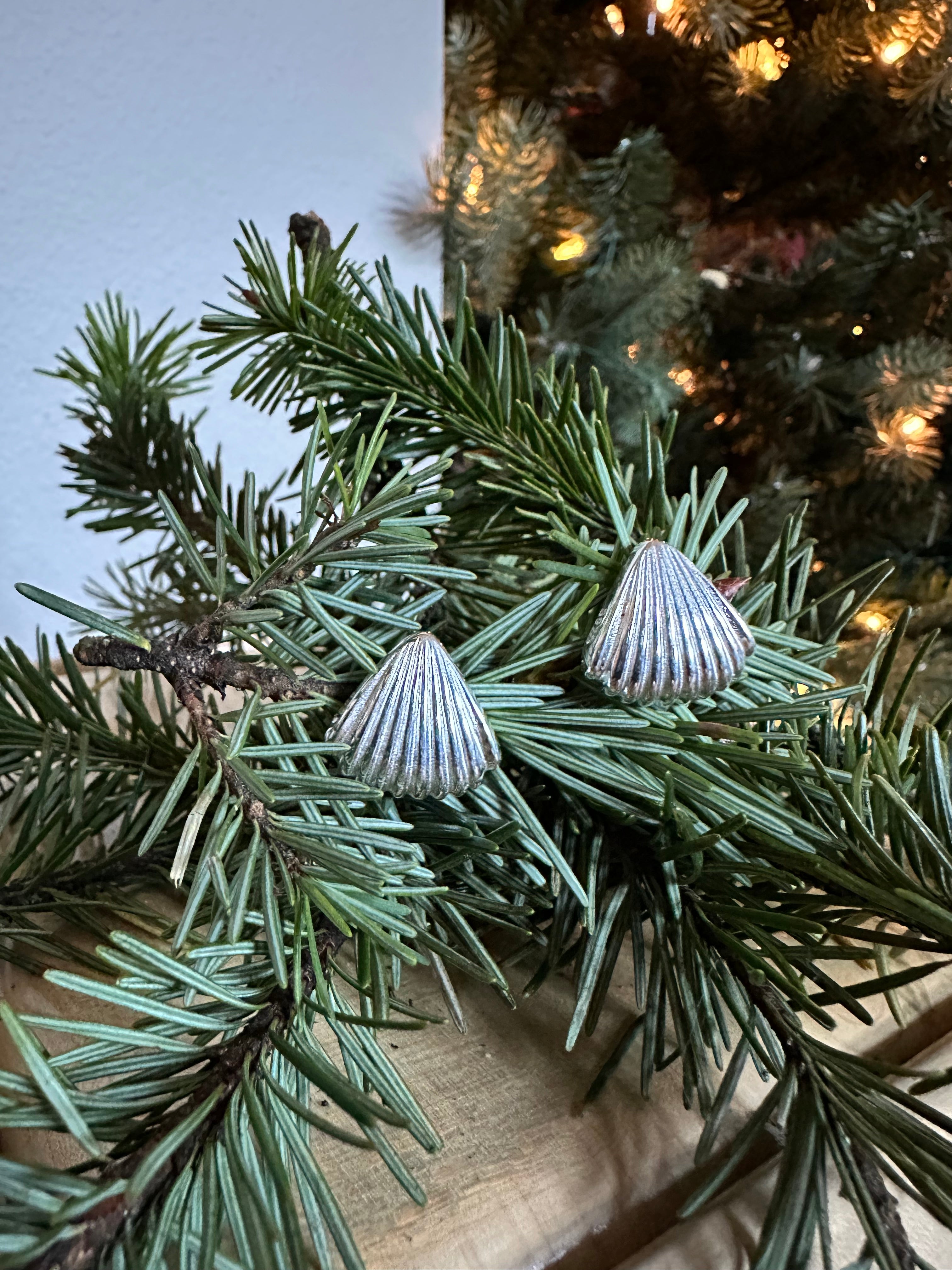 Shell Earrings