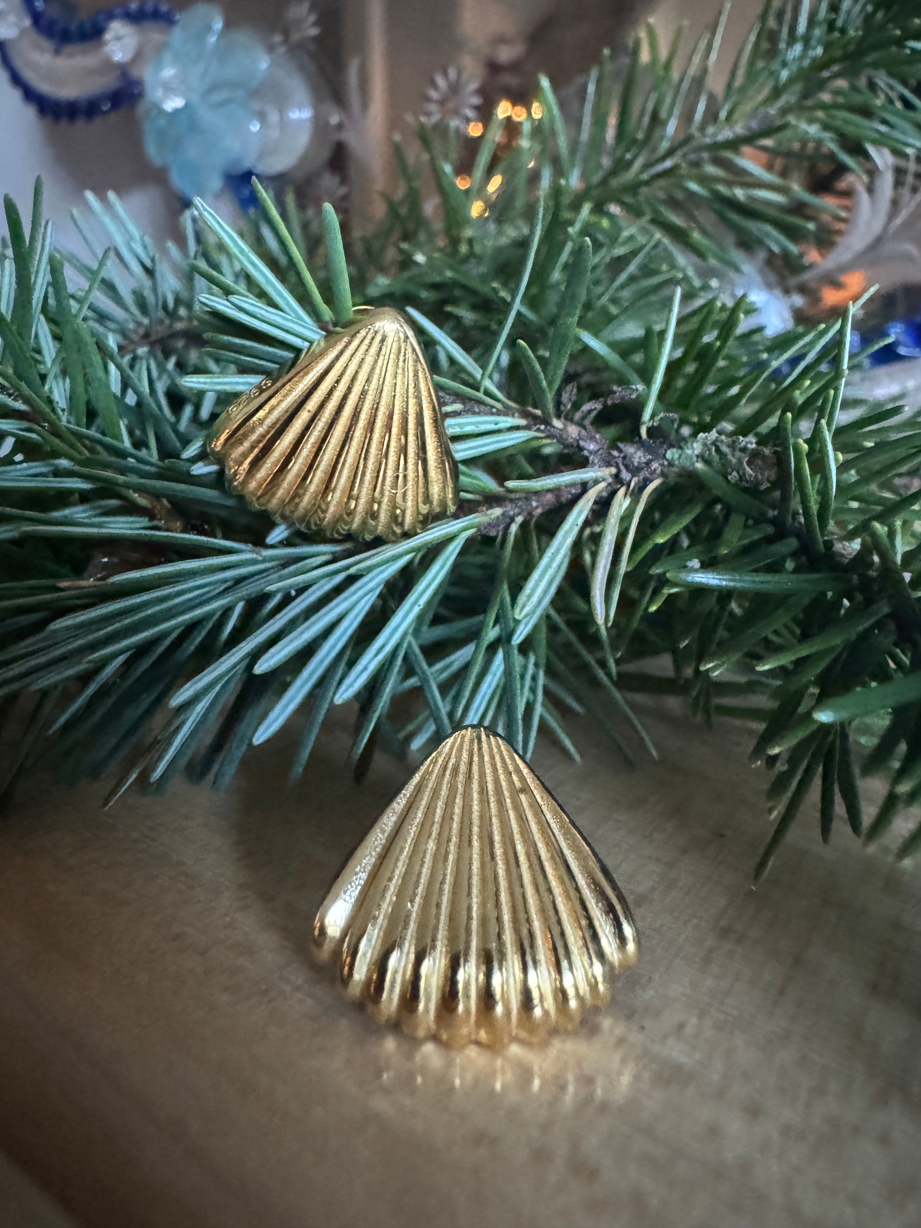Shell Earrings