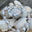 Baroque Twist Convertible Pearls