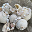 Baroque Twist Convertible Pearls