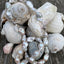 Baroque Twist Convertible Pearls