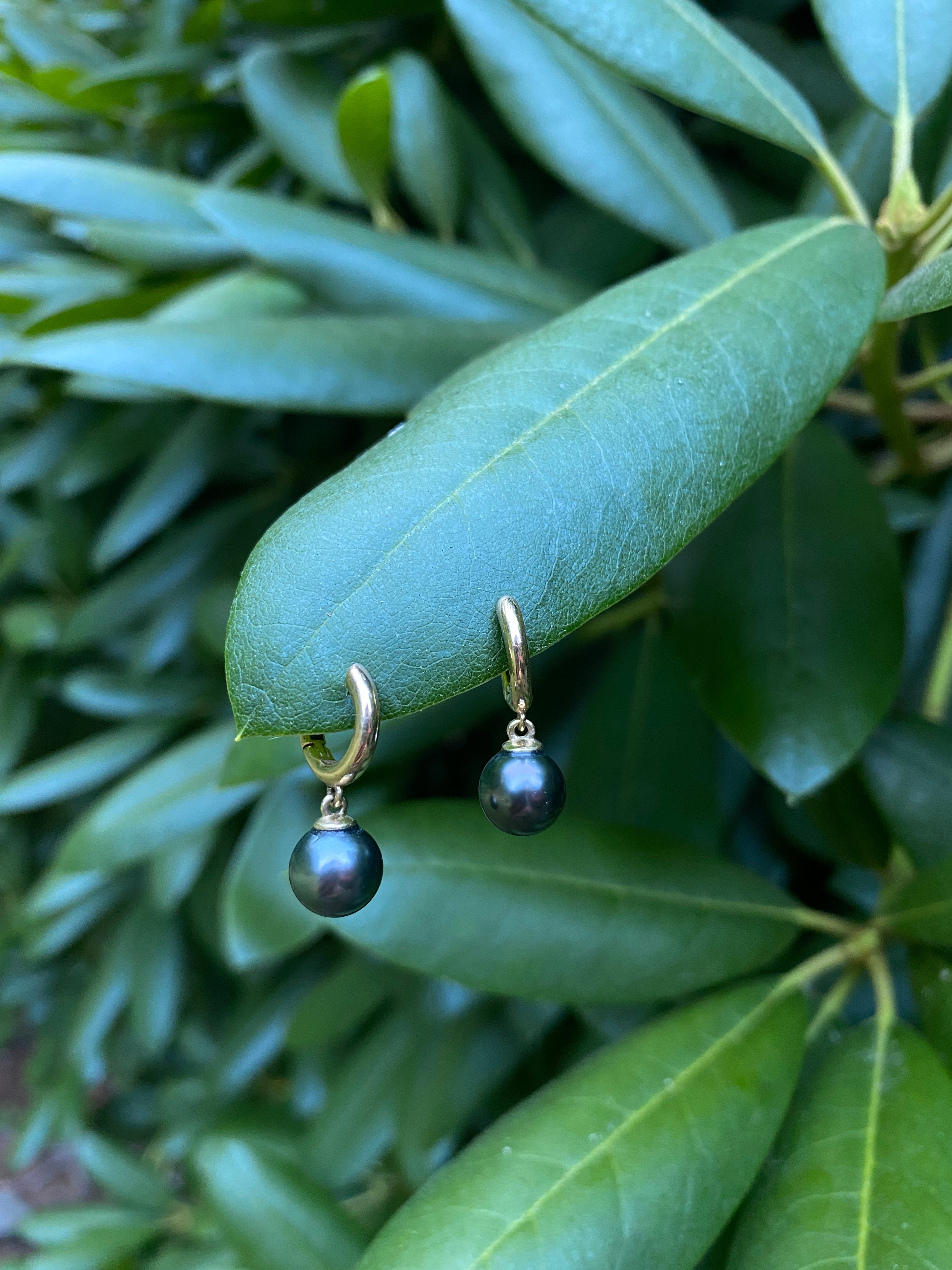 Tahitian 14kt Gold-Hoops