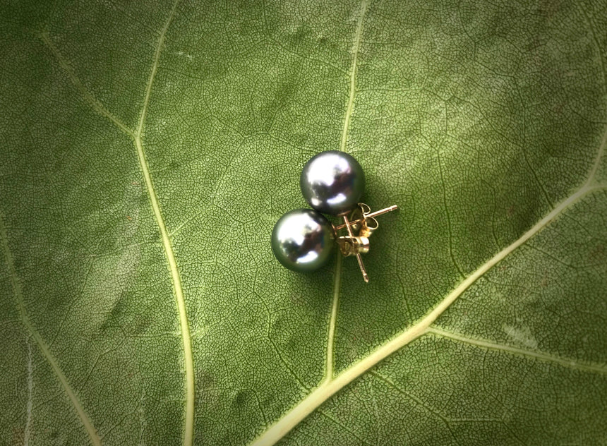 Tahitian Pearl 18kt Stud Earrings
