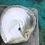 Tahitian Pearl 18kt White Gold Victory Pendant