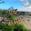 Twist 14kt Gold-Filled Hoops